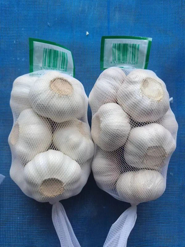 1d244b14-5d7a-4949-8c23-4470ee6d776b(001) 1d244b14-5d7a-4949-8c23-4470ee6d776b(001)