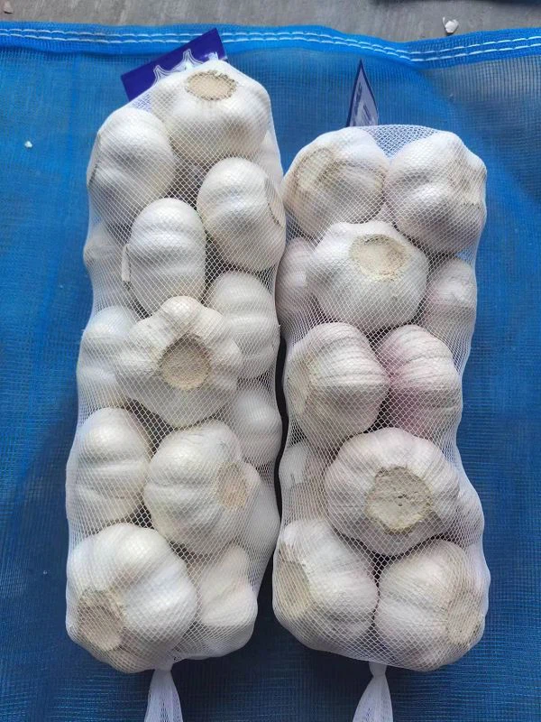 01edccd6-0b50-4c9b-baab-1c8554ae5ba7(001) 01edccd6-0b50-4c9b-baab-1c8554ae5ba7(001)