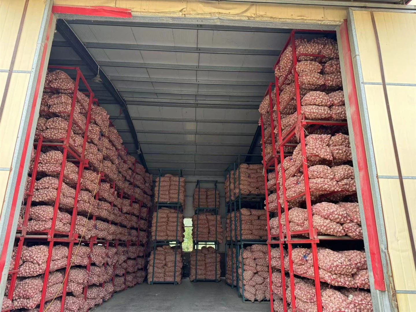 Gelagerter Knoblauch