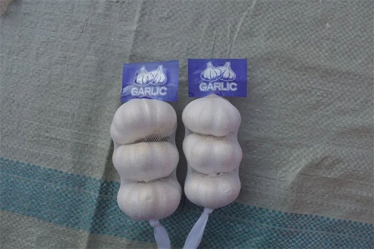 Frischer roher Knoblauch