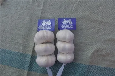 Frischer roher Knoblauch