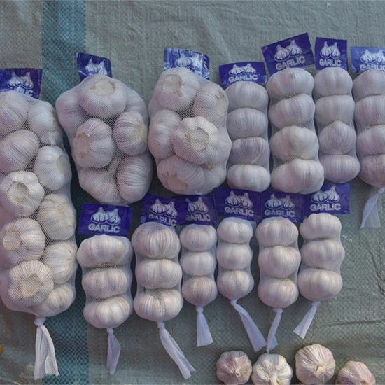 DSC_1282