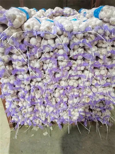 Kleine Tüte Knoblauch